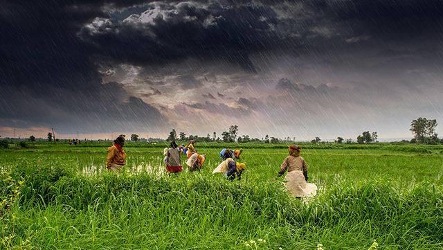 From-farming-programs-to-public-health-more-NGOs-find-they-need-to-find-new-ways-to-measure-impact.jpg
