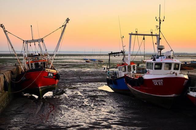 Greenpeace-fishing-report.jpg
