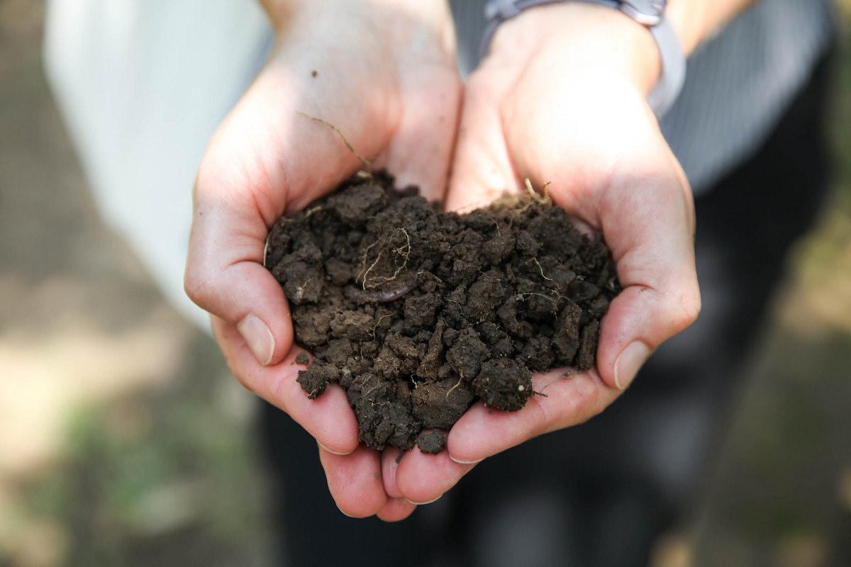 Hands-in-dirt-Chico-State-Tif-Tran.jpg