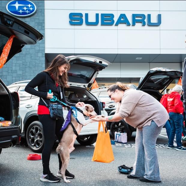 pet adoption event at a Subaru dealership — Subaru Loves Pets 