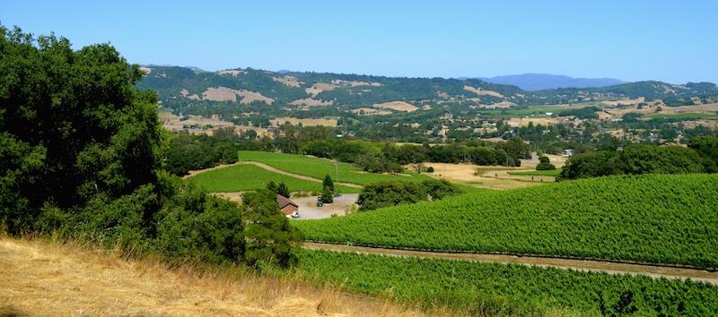 Jackson-Family-Winery.jpg