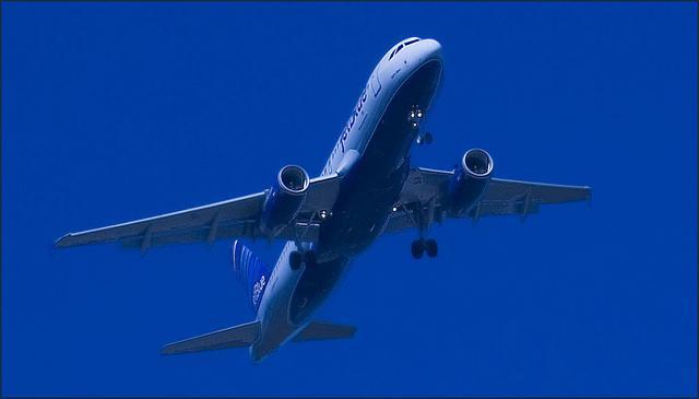 JetBlue_Ron_Cogswell.jpg