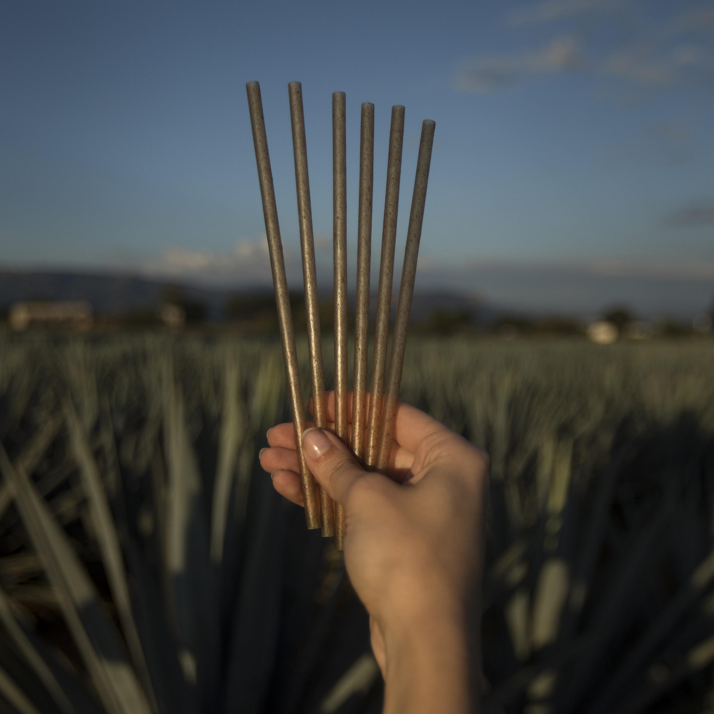 Jose Cuervo agave alternative to plastic straws