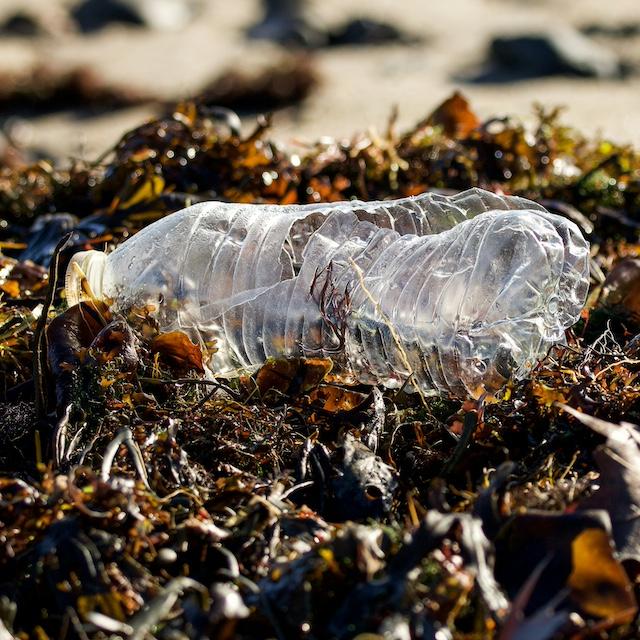 Plastic pollution lying on the beach.