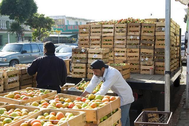 NAFTA_tomatoes_wisley.jpg