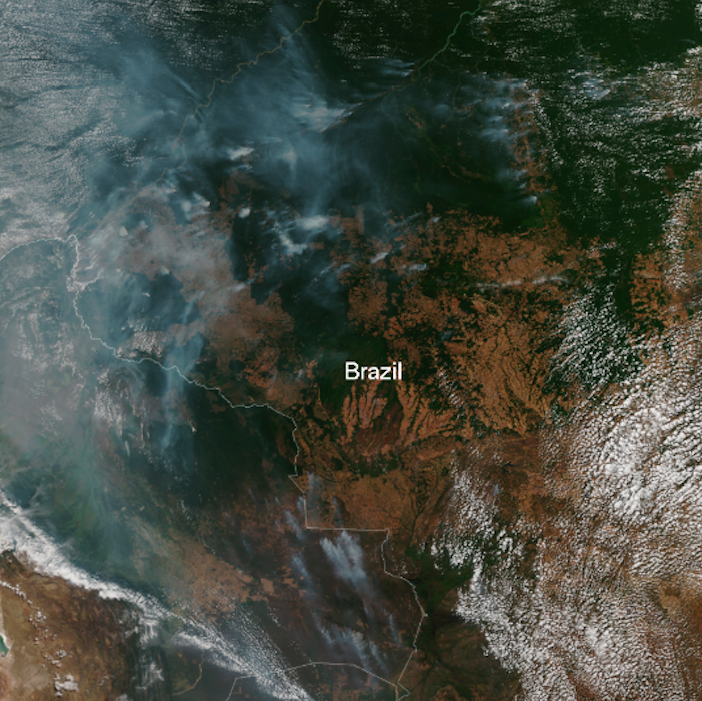 Amazon Fires