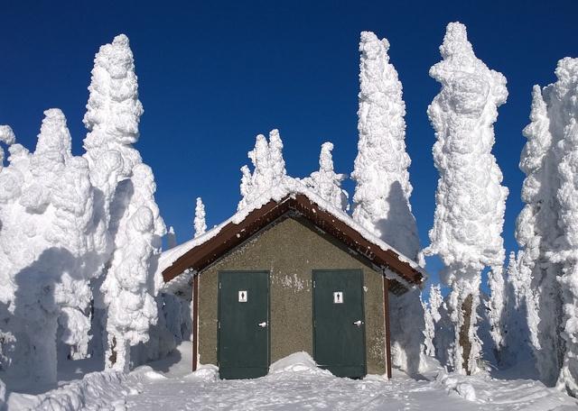 North_Carolina_mens_womens_bathroom_RuthHarnup.jpg