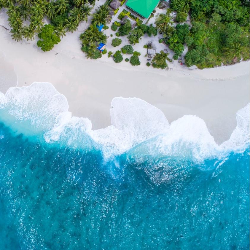 Ocean Conservation