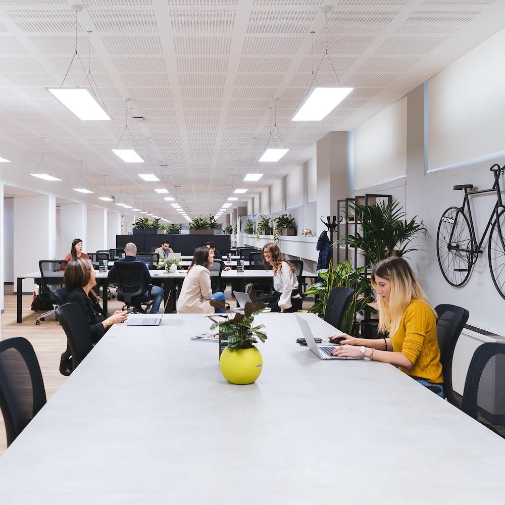 Office - Tech Company - Coworkers - Sustainability - ESG