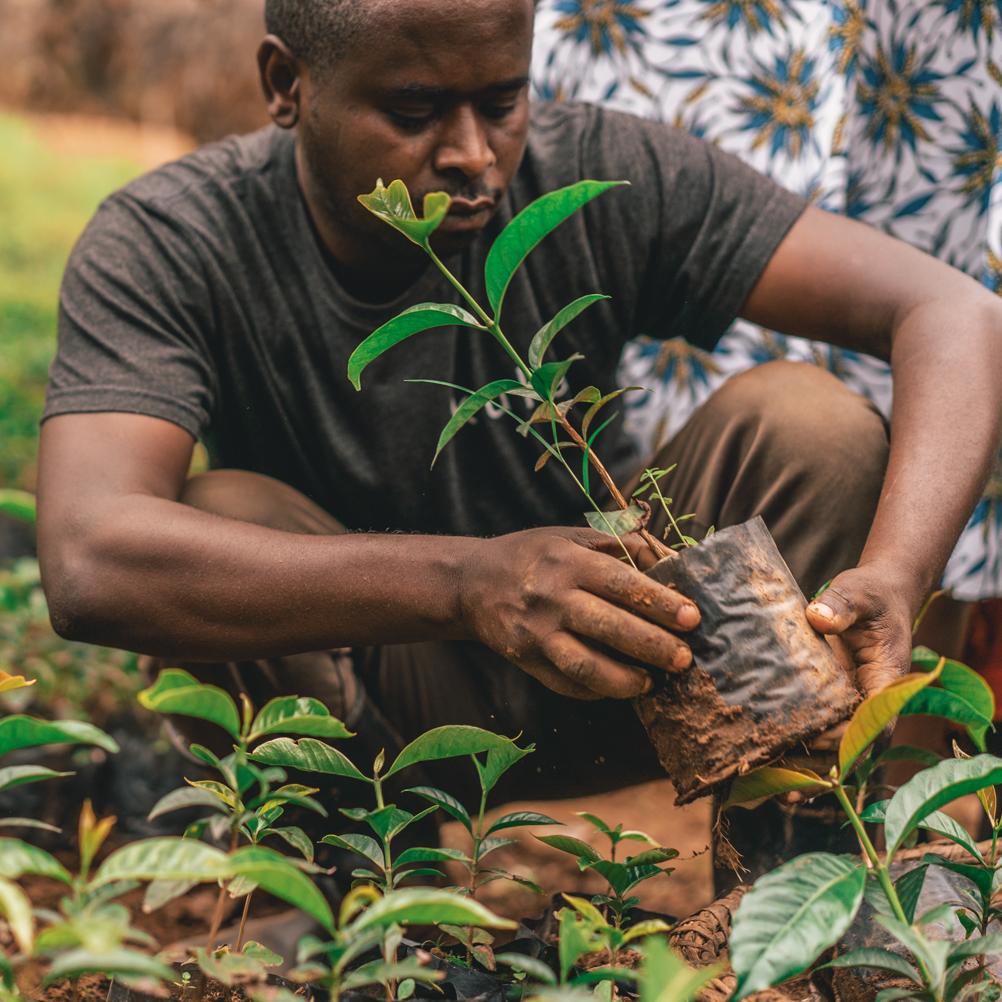 Corporate Sustainability