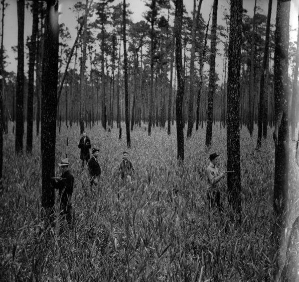 Reed-Forest-Apple-TCF-NCSU.jpg