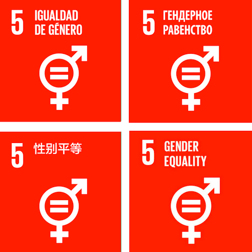 Bloomberg recently convened the first ever single-issue business summit to focus on SDGs, which pulled a number of threads together and charted a path for reaching agreement on common goals.
