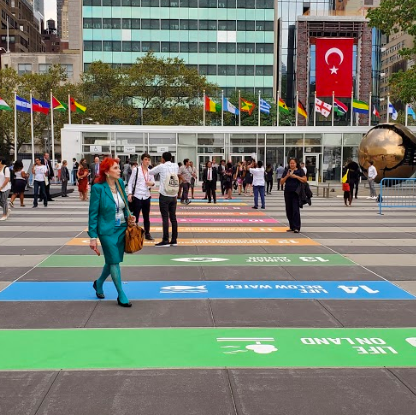 SDGs