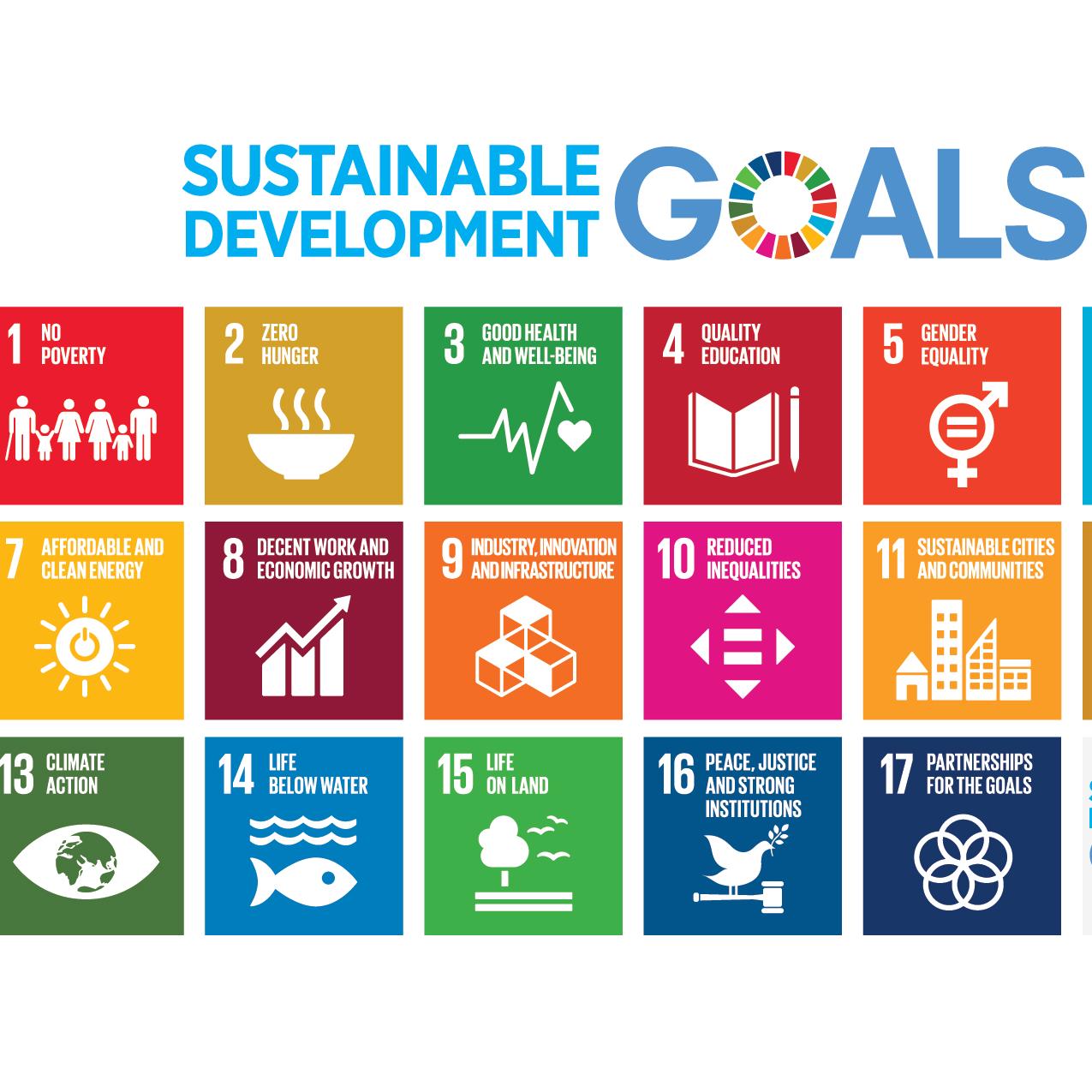 UN Sustainable Development Goals (SDGs)