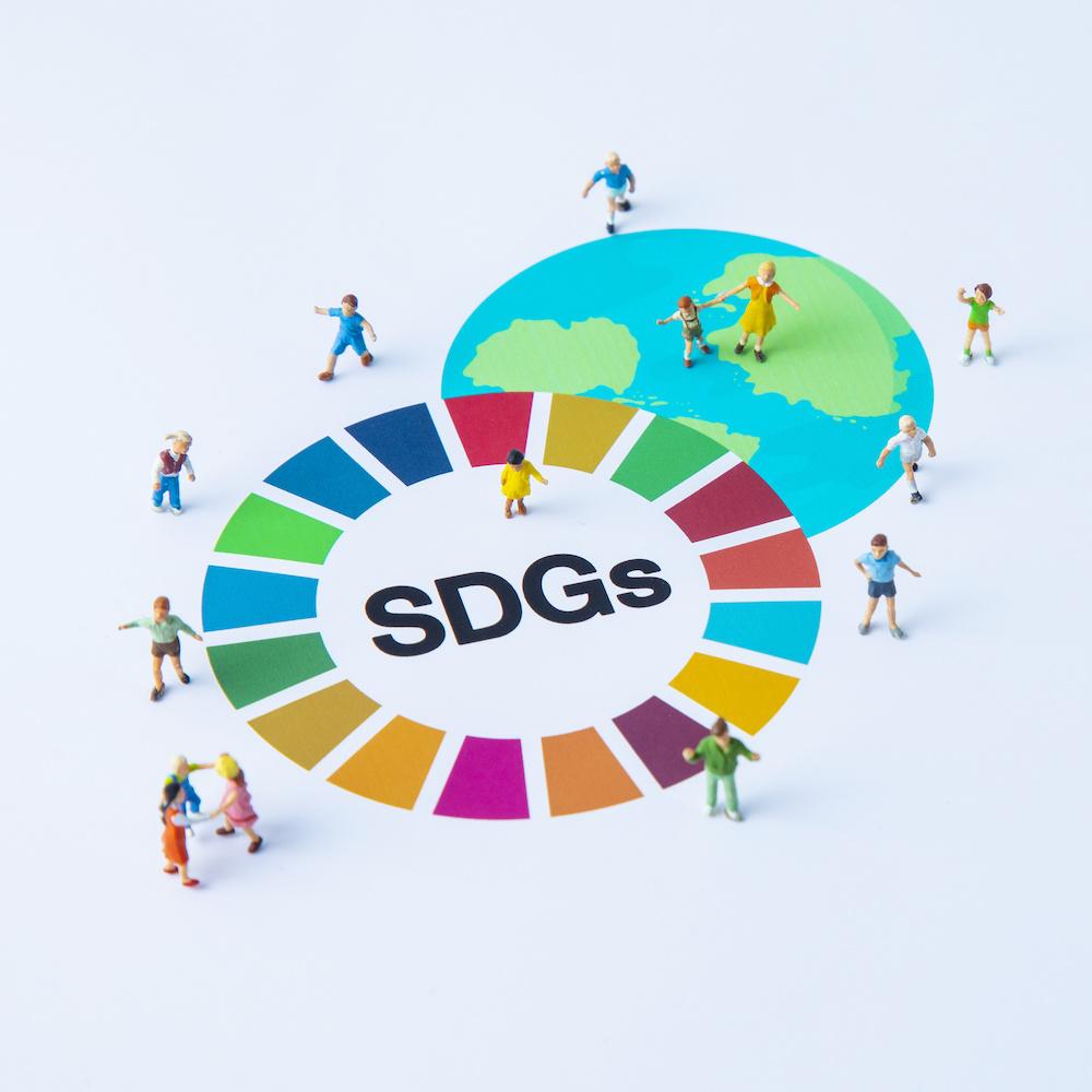 Sustainable Development Goals SDGs