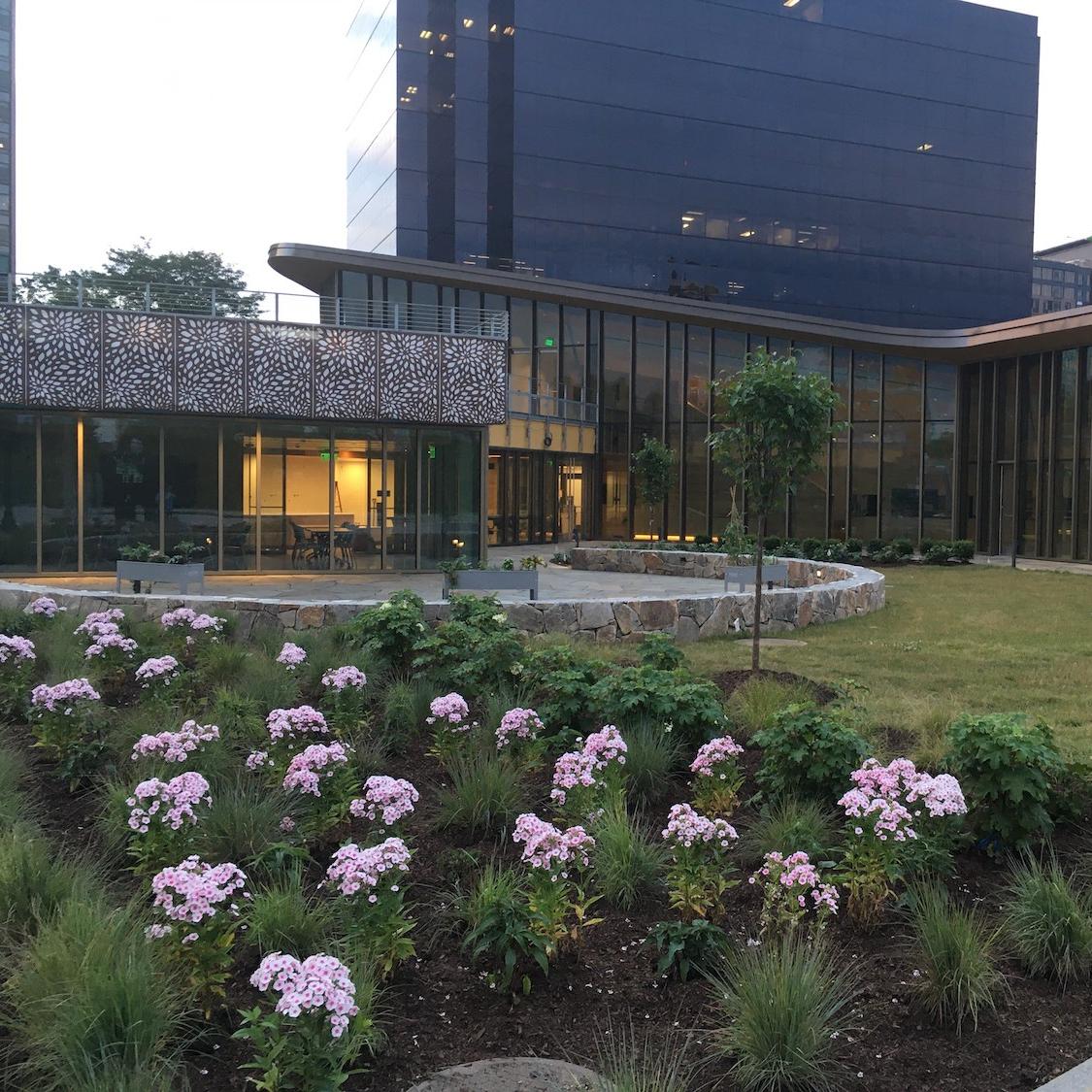 STEM education at whittingham discovery center