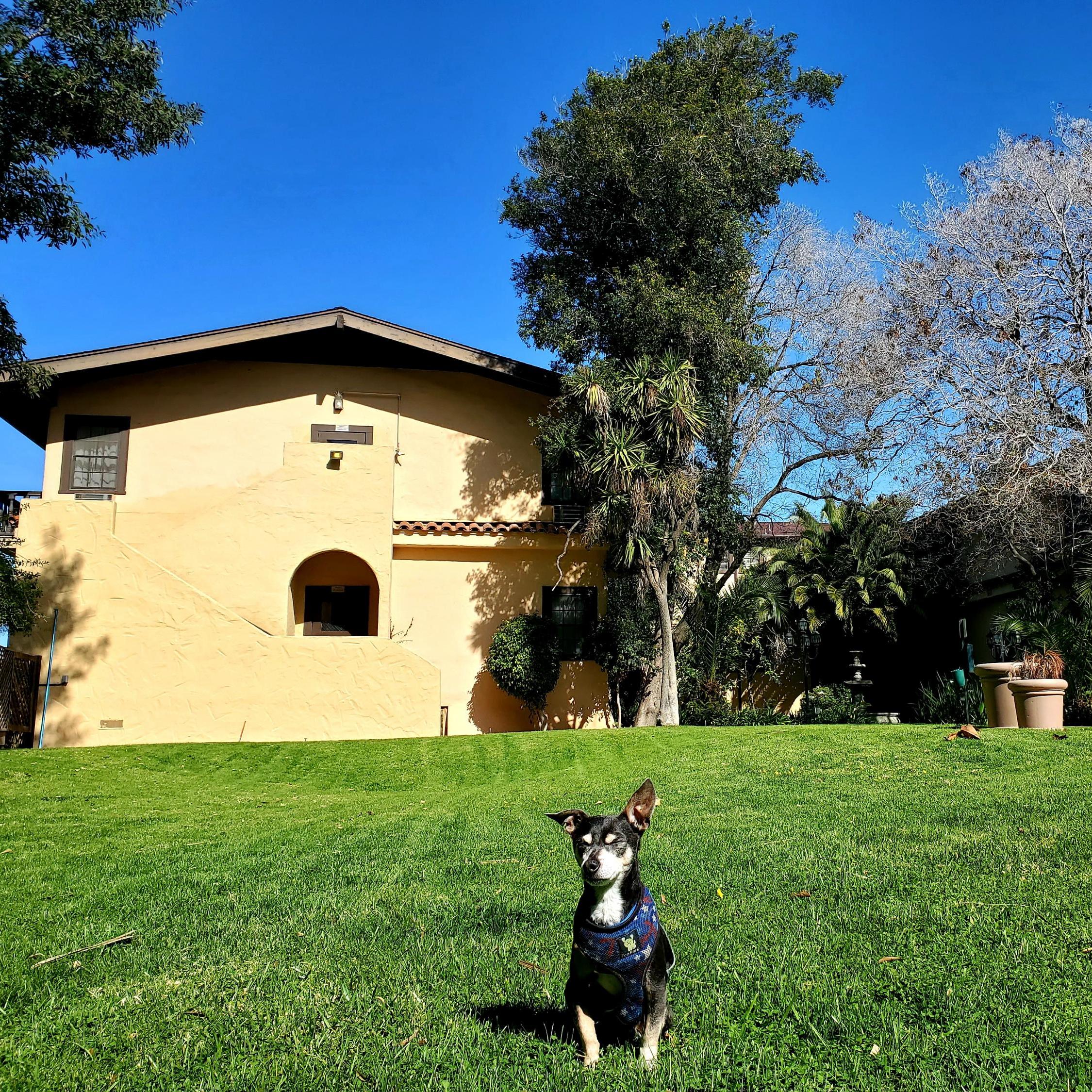 Santa Maria Inn - local tourism