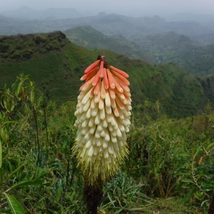 biodiversity