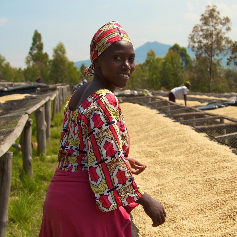smallholder farmers