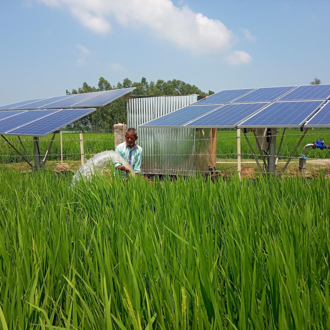 Smallholder farmers solar irrigation