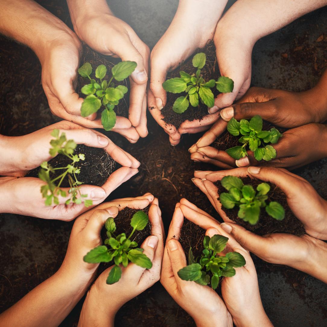 Sustainability - Circular Economy - Circular Business