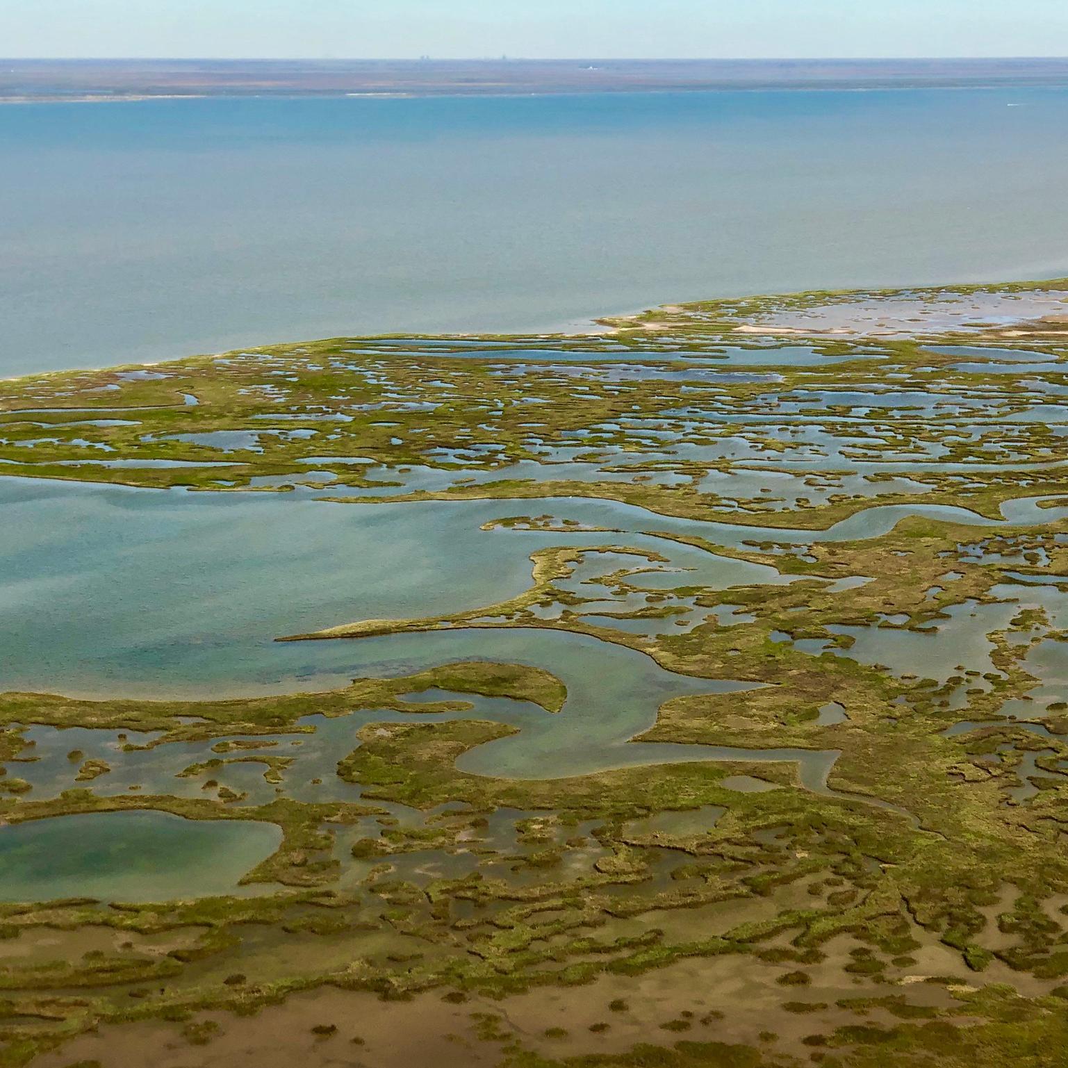 Gulf Coast Collaborative to reduce carbon emissions