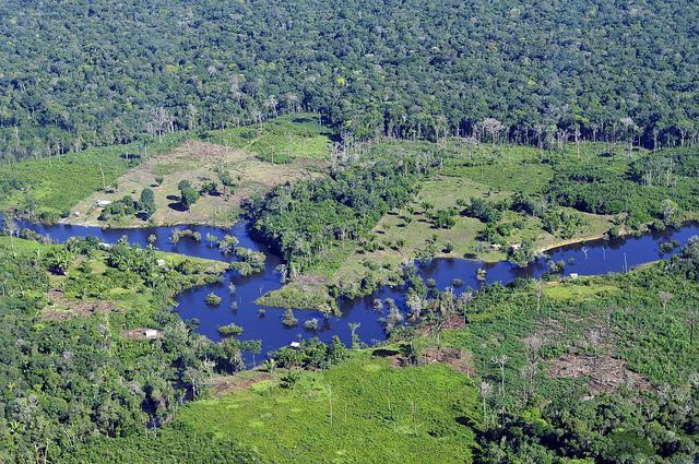 The-Amazonian-rainforest-near-Manaus-Brazil.jpg