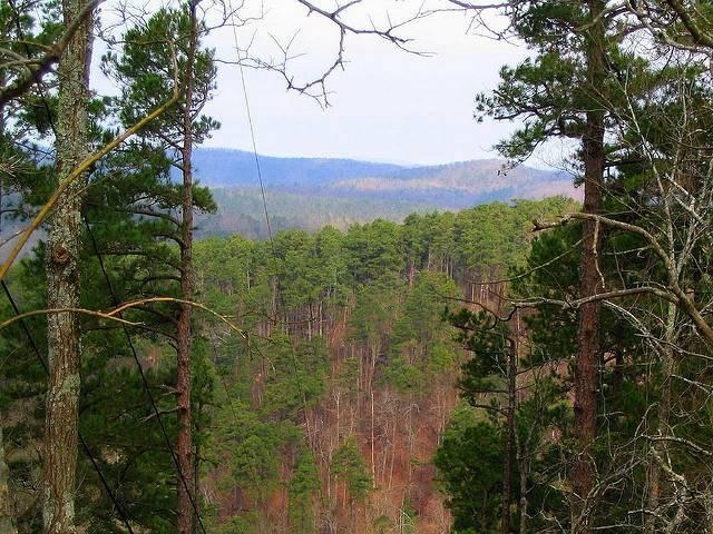 The-Ouachita-Mountains-in-Arkansas.jpg
