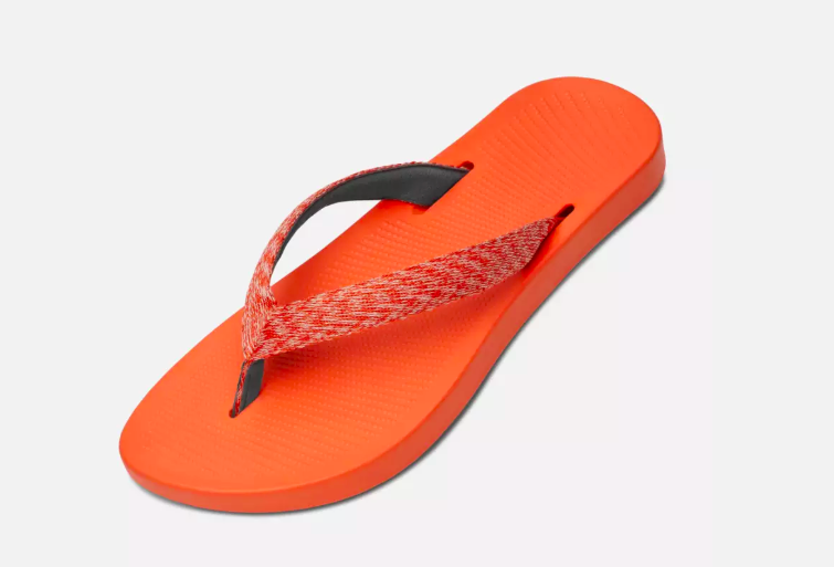 The-Sugar-Zeffers-by-Allbirds-is-derived-from-sugarcane.png