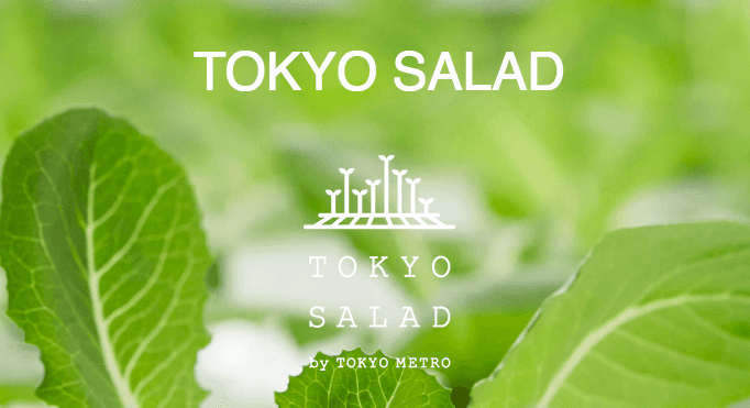 Toyko-Salad.png Toyko-Salad.png