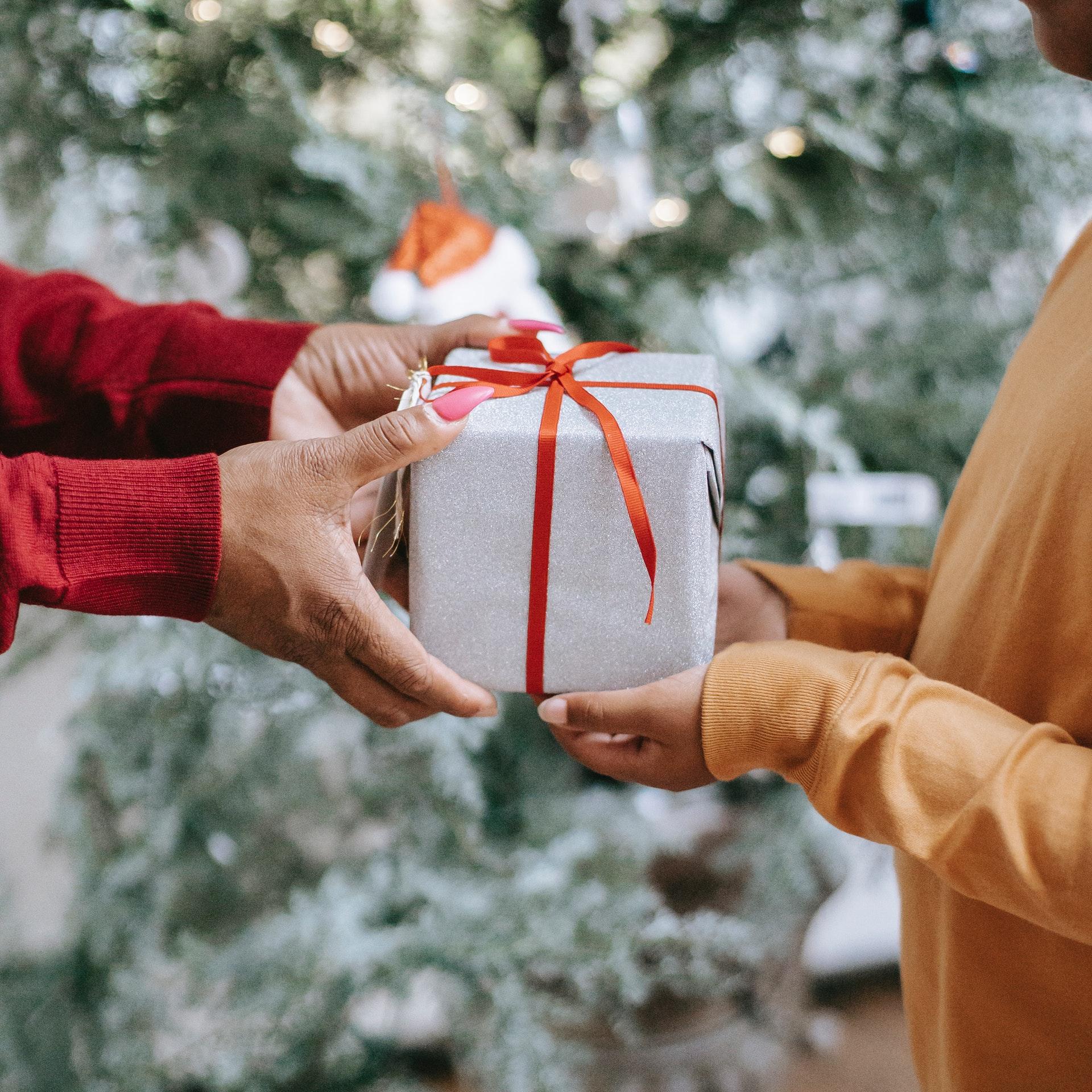 TriplePundit Sustainable Holiday Gifts Guide 2020