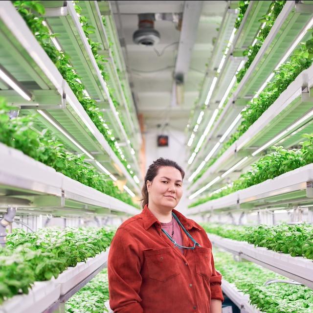 A person stands between rows of an indoor, vertical farm — ESG