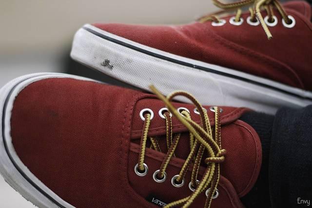VF-is-promising-more-sustainable-materials-in-products-such-as-its-famous-Vans.jpg