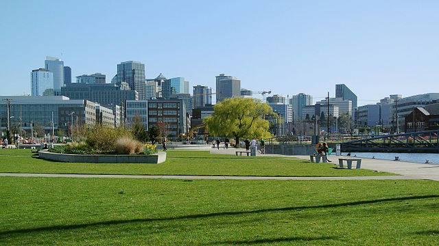 View-of-the-South-Lake-Union-district-in-Seattle.jpeg