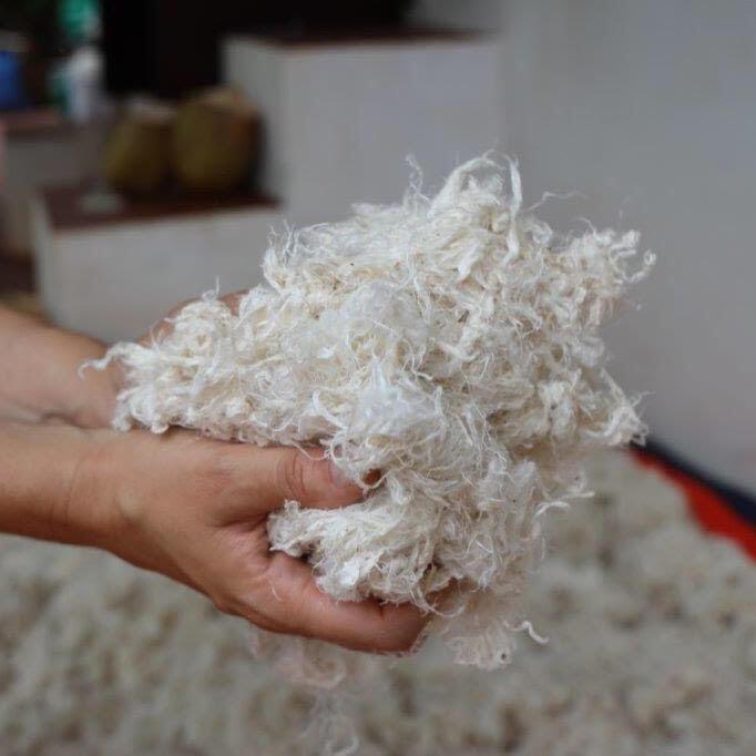 Vegan Wool
