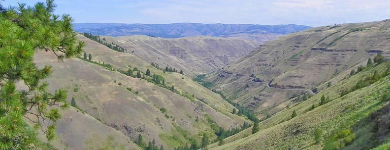 Wallowa-County.jpg Wallowa-County.jpg