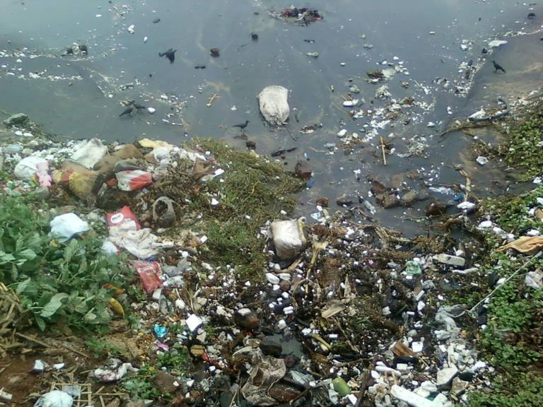 Water_pollution_due_to_domestic_garbage_at_RK_Beach_011.jpg