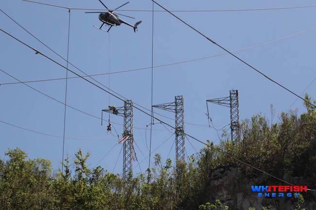Whitefish-Puerto-Rico-electricity.jpg