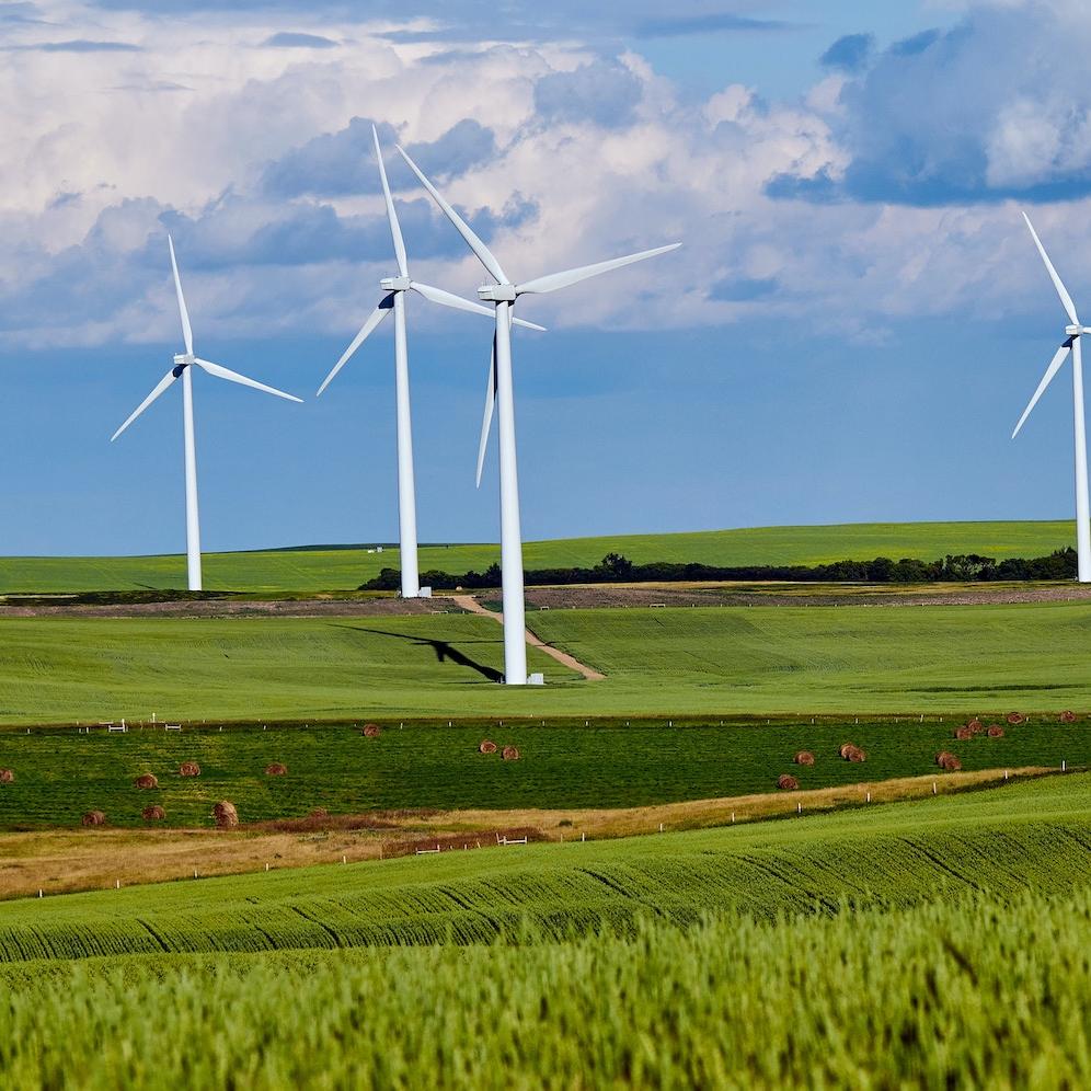 Wind turbines in a field. 