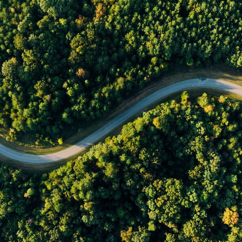 aerial shot of a road winding through a forest - forest conservation funding for Indigenous peoples