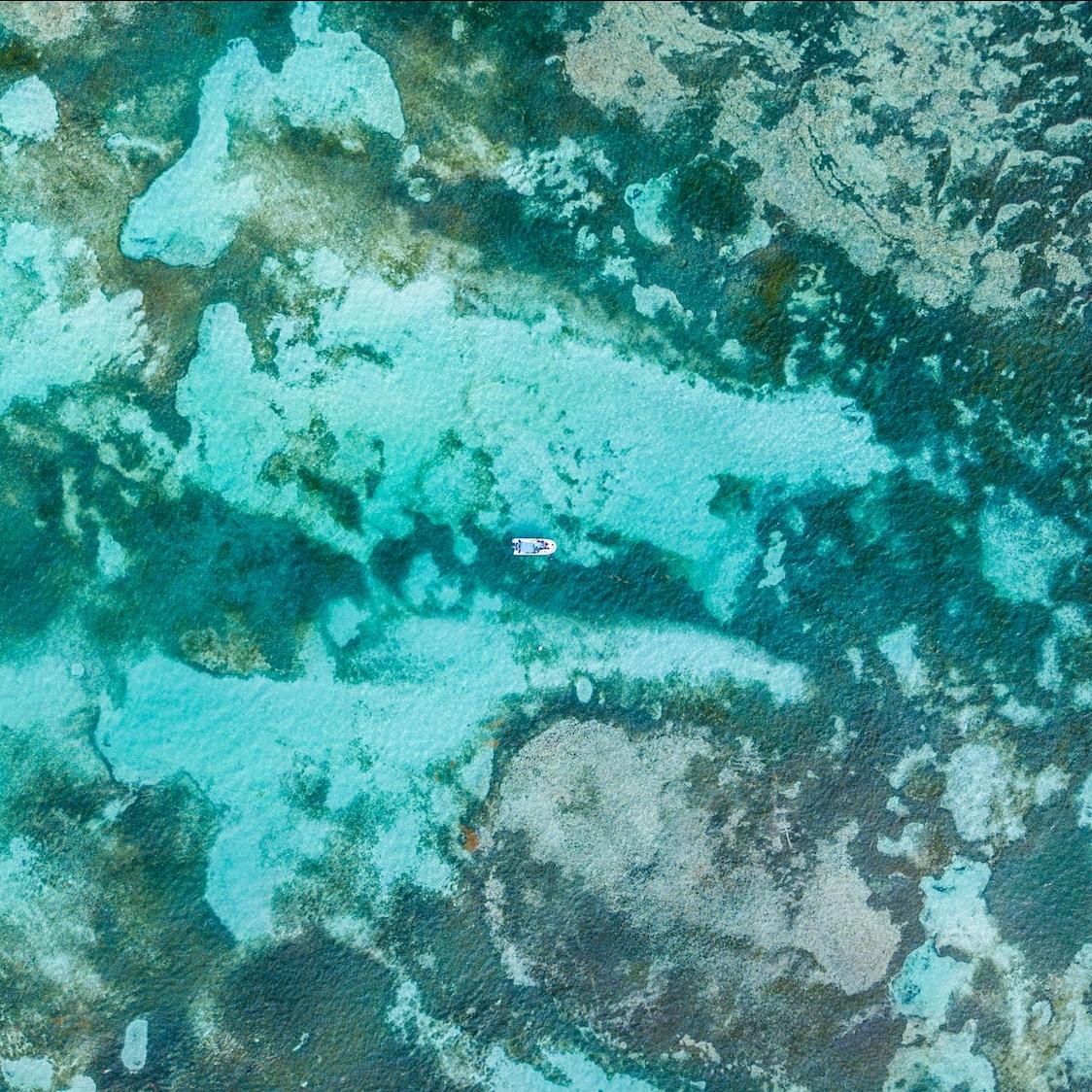 aerial shot of boat sailing through the great barrier reef