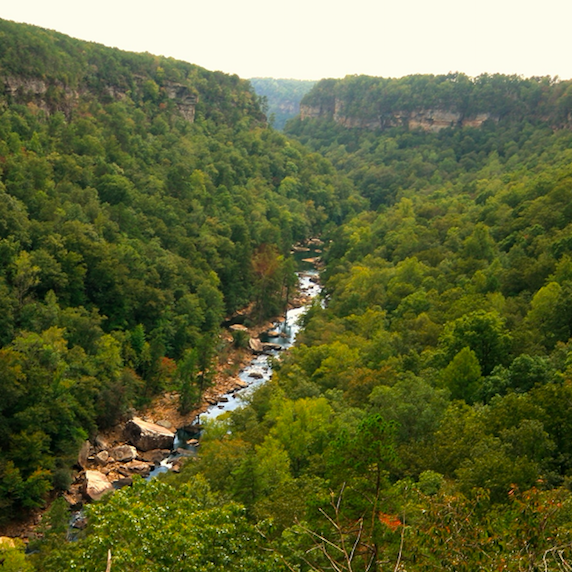 Little River Canyon, Fort Payne, Alabama.