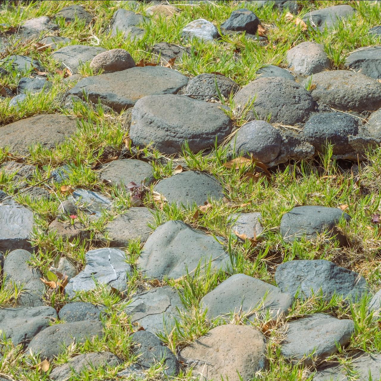 Stepping stones