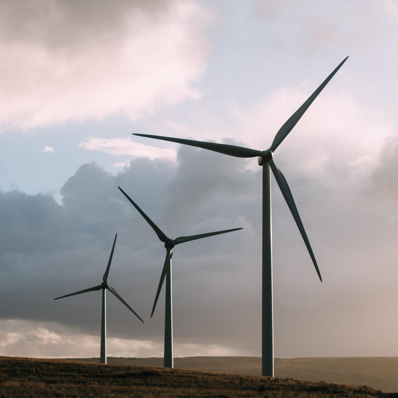 renewable energy 