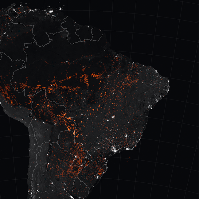 Amazon Fires