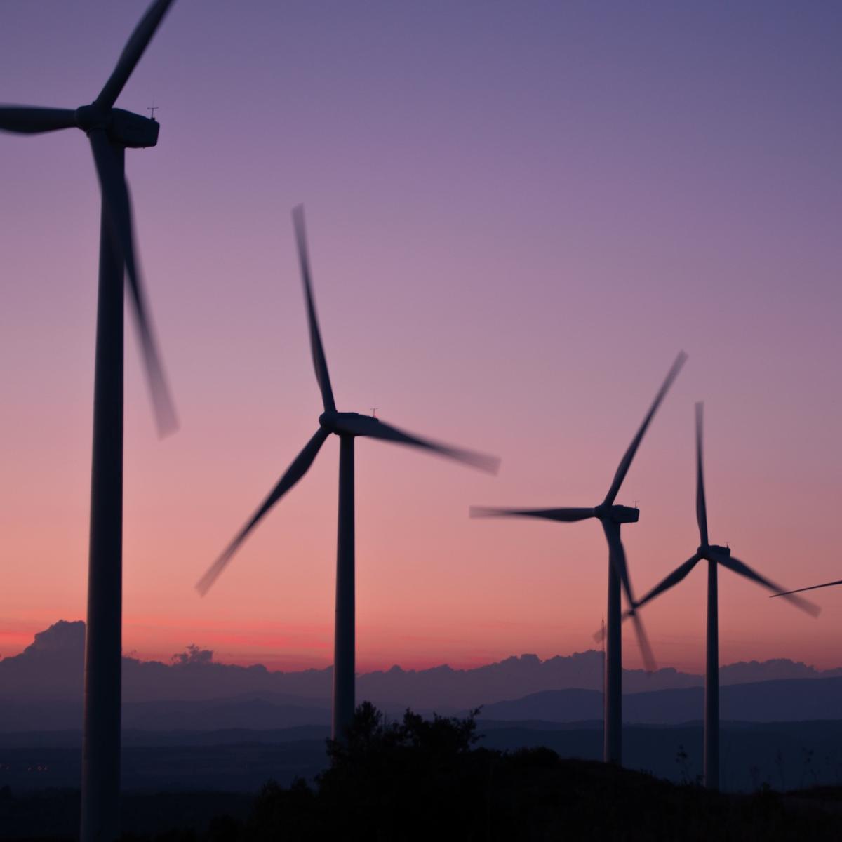 Climate Action