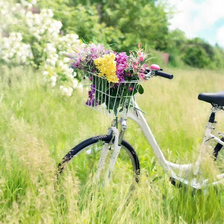 bicycle with flowers in the basket in a meadow during springtime