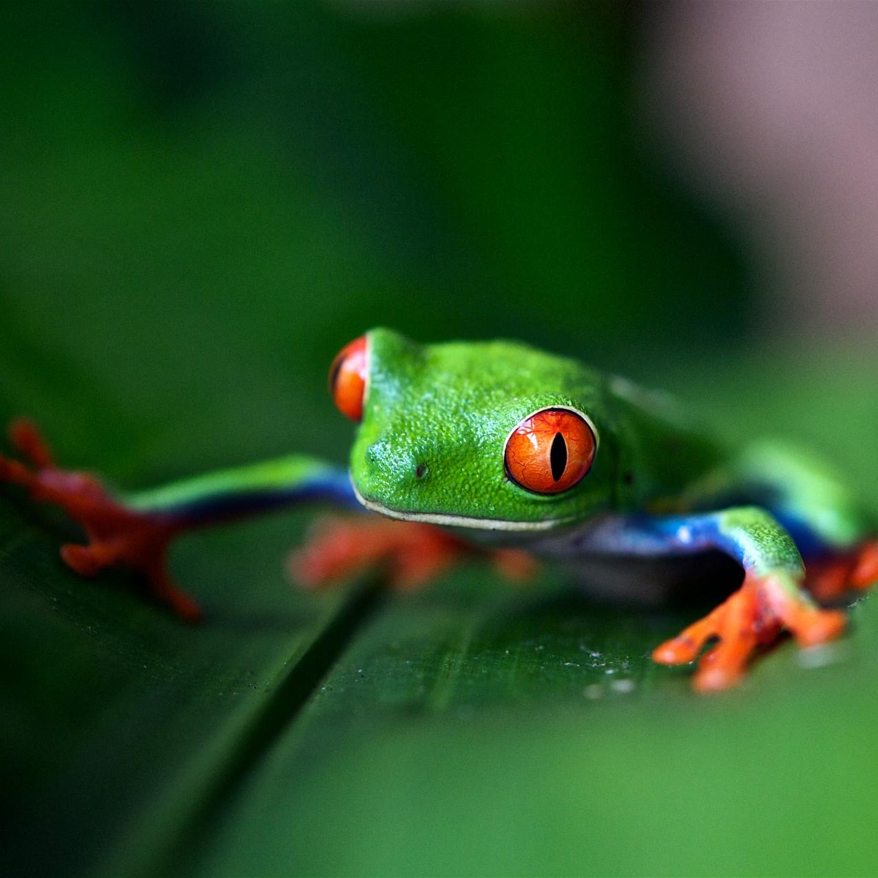 Biodiversity