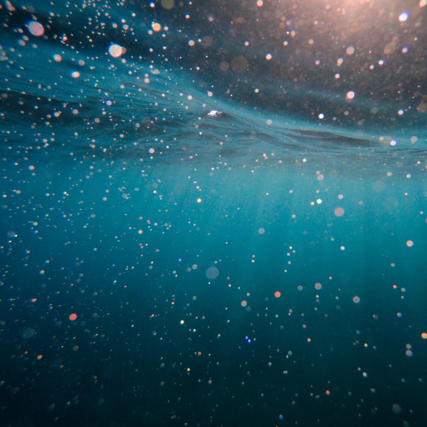 Ocean Plastic