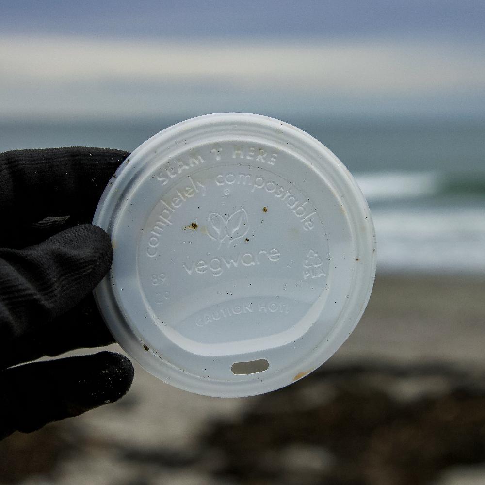 A photo of a compostable coffee cup lid that was found on a beach cleanup  - greenwashing claims